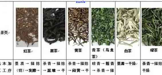 茶叶的品种与作用，探索茶叶的世界：品种与作用解析