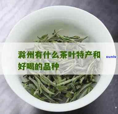 州茶叶特产有哪些-州茶叶特产有哪些品种