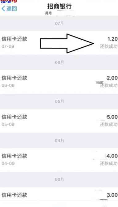 中信逾期最久是多久？怎样查询及还款？