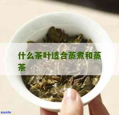 适合蒸的茶叶有哪些-适合蒸的茶叶有哪些品种