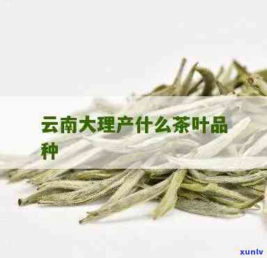 大理特产茶叶有哪些-大理特产茶叶有哪些品种