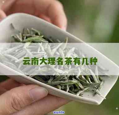 大理特产茶叶有哪些-大理特产茶叶有哪些品种