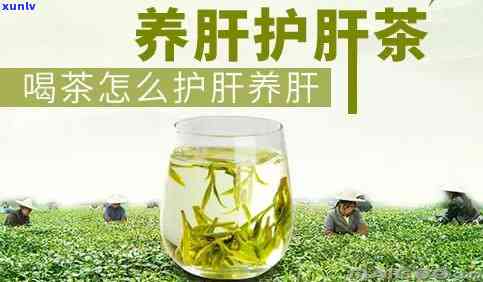 对肝有好处的茶叶，护肝小能手：介绍几款对肝脏有益的茶叶！