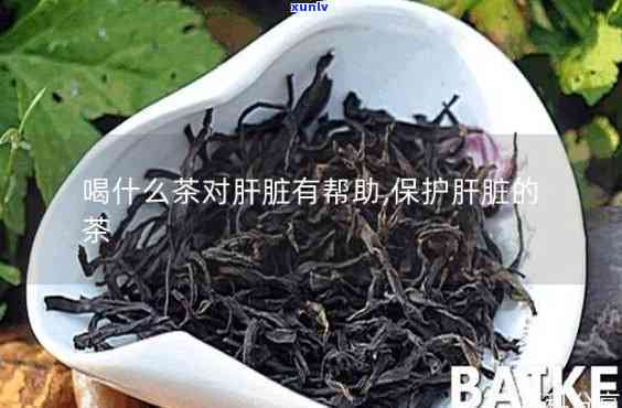 对肝好的茶叶有哪些-对肝好的茶叶有哪些品种