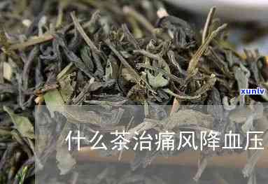 治痛风的茶叶有哪些-治痛风的茶叶有哪些品种