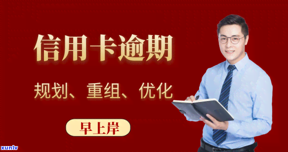 正山小种茶叶价格一览表图片大全：最新价格、评价与购买指南