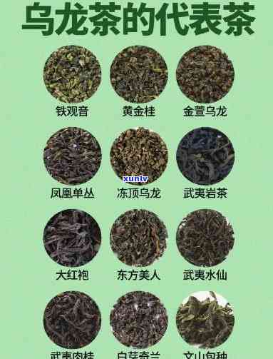 口味重的茶叶品种介绍及推荐