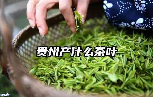 贵州产的茶叶有哪些，探寻贵州茶叶：那些值得一试的味道