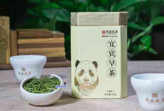 宜宾的茶叶比较出名的有哪些？了解早茶与知名