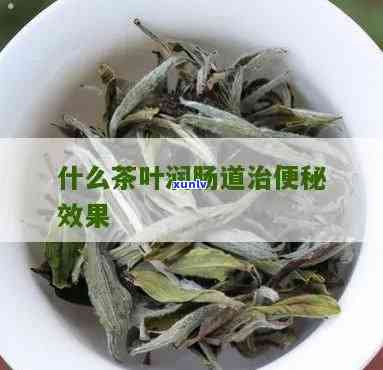 清肠道的茶叶有哪些-清肠道的茶叶有哪些品种