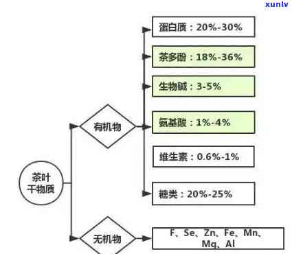 茶叶包装 *** 种类及检测报告流程全解析