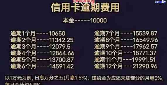 信用卡逾期法院开庭信息-信用卡逾期法院开庭信息怎么查