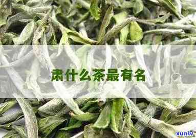 肃出产什么茶叶？品种多样，产量丰富！