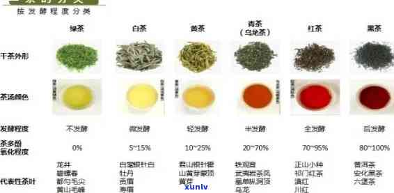 全发酵的茶叶有几种，探究全发酵茶叶的种类：从乌龙茶到普洱，一探究竟