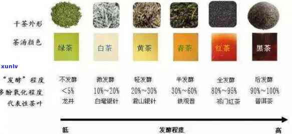 全发酵的茶叶有几种，探究全发酵茶叶的种类：从乌龙茶到普洱，一探究竟