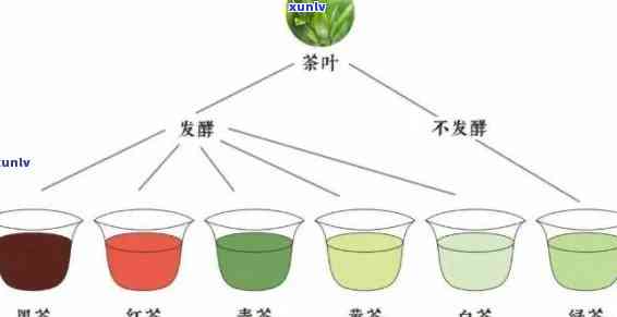 全发酵的茶类是什么，揭秘茶叶世界：全发酵茶类到底是什么？