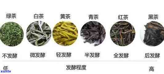 探索世界：不是茶叶的茶种类大盘点与图片展示