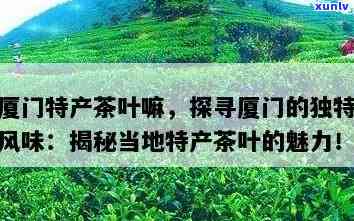 厦门本地茶叶有哪些特产图片介绍，探索厦门：了解当地特色茶叶，一图看懂特产！