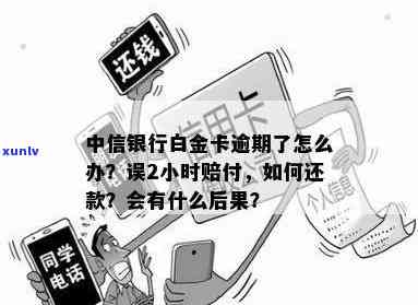 中信银行小金卡逾期怎么办，中信银行小金卡逾期解决攻略