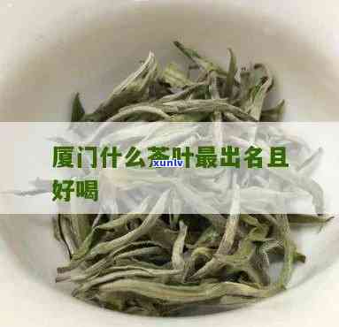 厦门产什么茶叶？揭秘最丰富的茶品种和产量