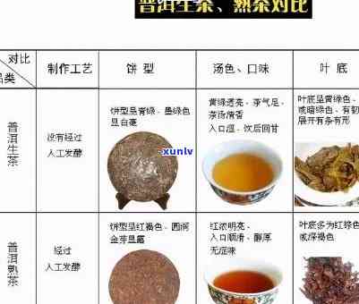 清朝的茶叶都有哪些种类，探秘清朝时期的茶叶种类