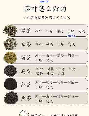 卷成球的茶叶有哪些-卷成球的茶叶有哪些品种