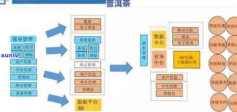 深入解析：茶叶的渠道、策略与通路全揭秘