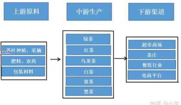 深入解析：茶叶的渠道、策略与通路全揭秘