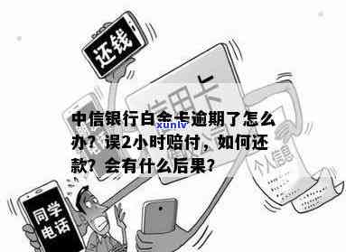 中信小白青春卡逾期怎么办，中信小白青春卡逾期解决  全攻略