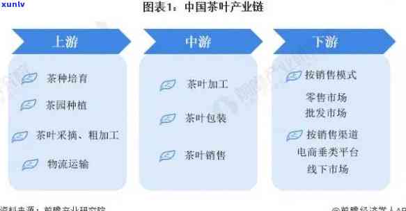 茶叶正规渠道：哪些是正规销售途径？