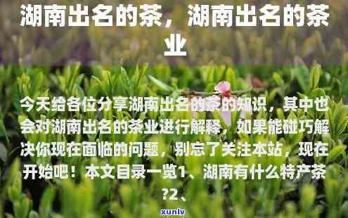 湖南茶叶有哪些名字，探寻湖南茶叶魅力：揭秘湖南茶叶全名！