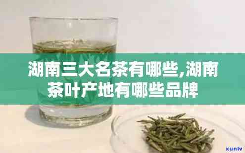 湖南茶叶有哪些-湖南茶叶有哪些名字