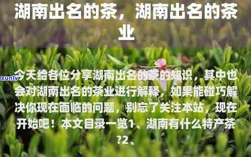 湖南茶叶有哪些-湖南茶叶有哪些名字