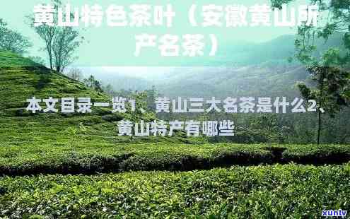 黄山特产茶叶有哪些-黄山特产茶叶有哪些品种