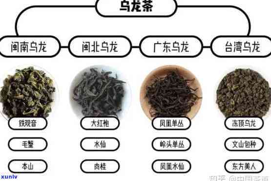 茶叶选购技巧有哪些方面，绿茶、红茶、乌龙茶...茶叶选购全攻略，这些技巧帮你选到好茶！