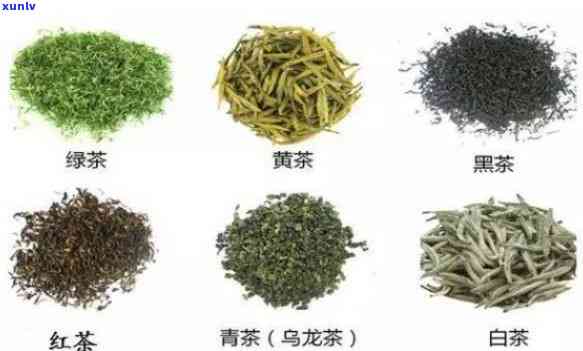 适合煮的茶叶有哪些品种，探讨适合煮的茶叶品种，让你的茶更加美味！