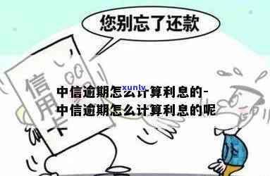 中信逾期利息怎么算，怎样计算中信银行的逾期利息？