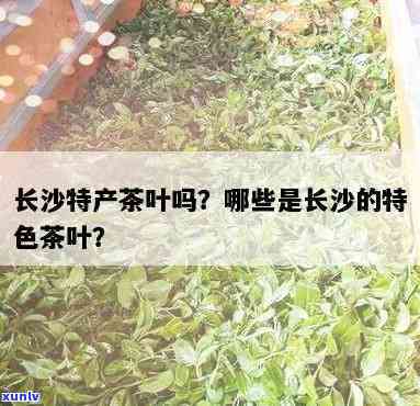 长沙特产茶叶有哪些-长沙特产茶叶有哪些别的地方买不到呢