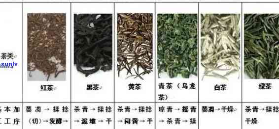 宜茶叶品种有哪些名字，探索宜：揭秘丰富的茶叶品种名称