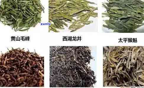 宜茶叶品种有哪些-宜茶叶品种有哪些名字