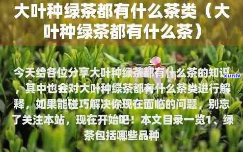 叶子大的绿茶叶有哪些，探寻绿色大叶茶：种类与特点解析