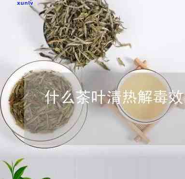 清热解茶叶有哪些品种，哪些茶叶具有清热解的功效？