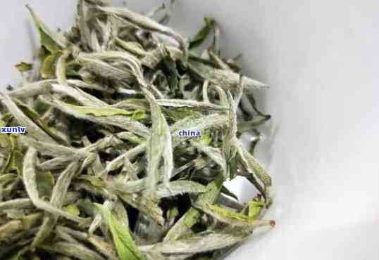 采单芽的茶叶有哪些，独享清香：探究只采用单芽 *** 的茶叶种类