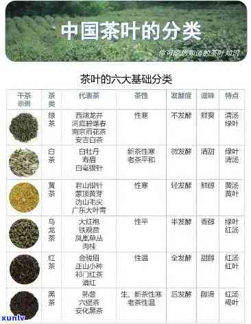 探究最名贵的茶叶种类及其图片