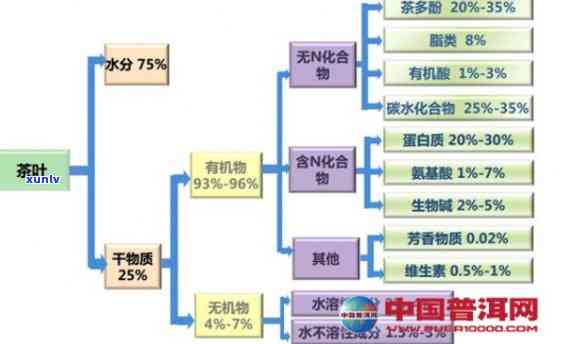 茶叶中的成分有哪些种类？详解及其图片展示