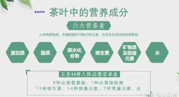 茶叶中的主要内含成分有哪些，揭示茶叶的神秘面纱：主要内含成分解析