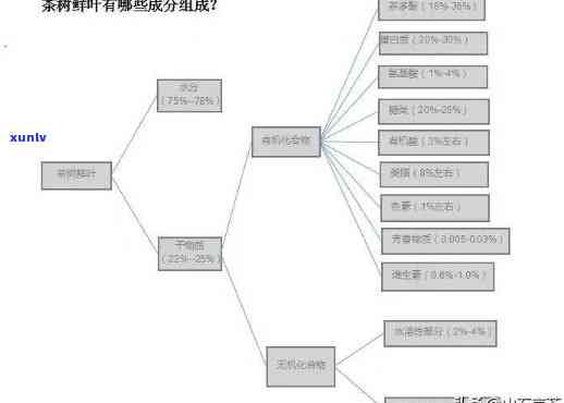 茶叶中的主要内含成分有哪些，揭示茶叶的神秘面纱：主要内含成分解析