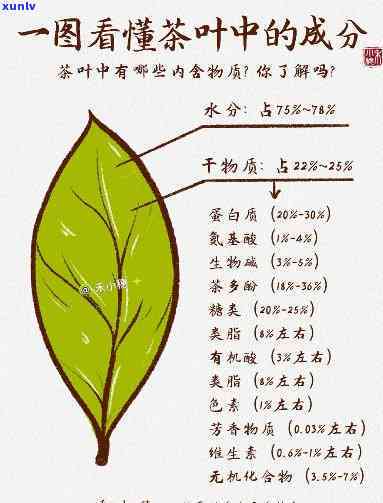 茶叶中的成分有哪些-茶叶中的成分有哪些?