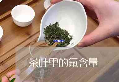 含氟多的茶叶有哪些，揭秘：哪些的茶叶含氟量较高？