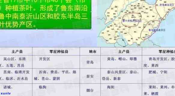 山东省茶叶批发地在何处？详述其分布情况与市场位置